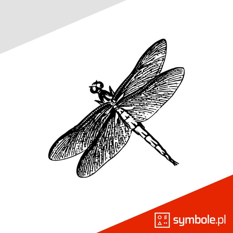 ważka symbol