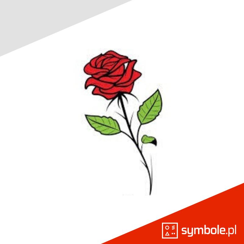 róża symbol