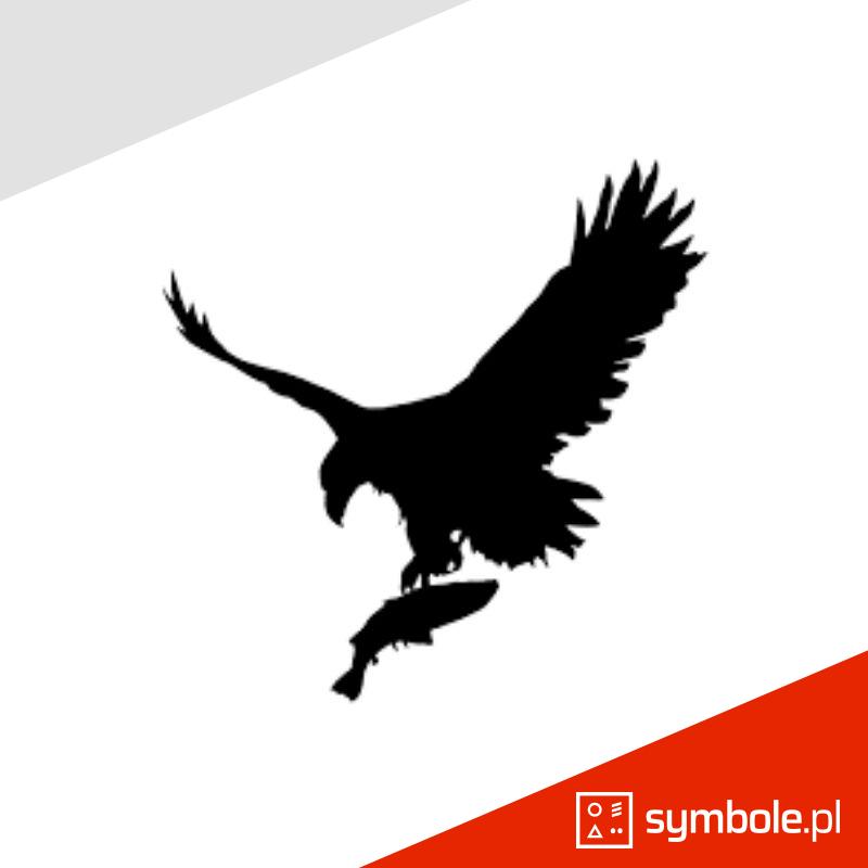 symbol orła