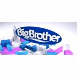 big brother logo
