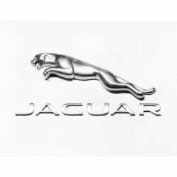 logo jaguar