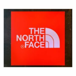 logo the north face