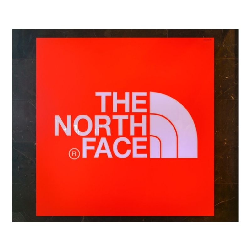 logo the north face