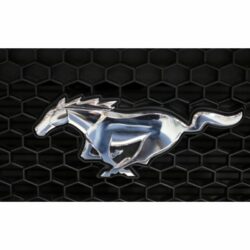 mustang logo